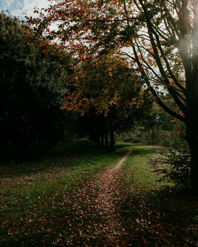 natuur