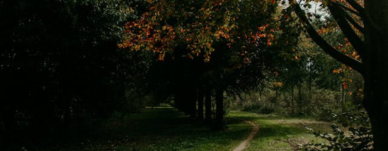 natuur